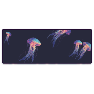 CS303- Space Jelly Fish